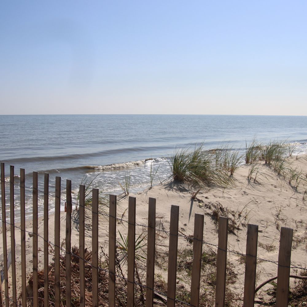 Top or Best Brochure Design Agencies and Companies in Elsmere, Delaware