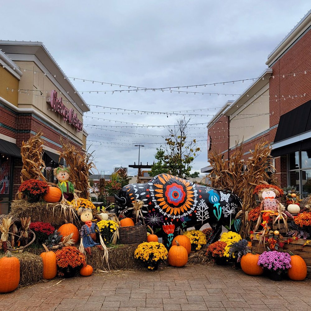 Top or Best Graphic Design Subscription Agencies and Companies in Amherst, New York