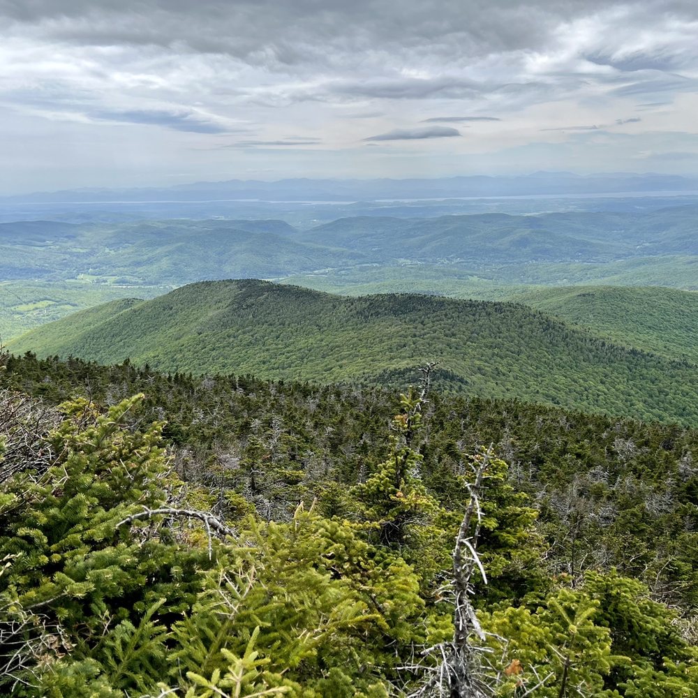 Top or Best Graphics for Streamers Agencies and Companies in Essex Junction, Vermont