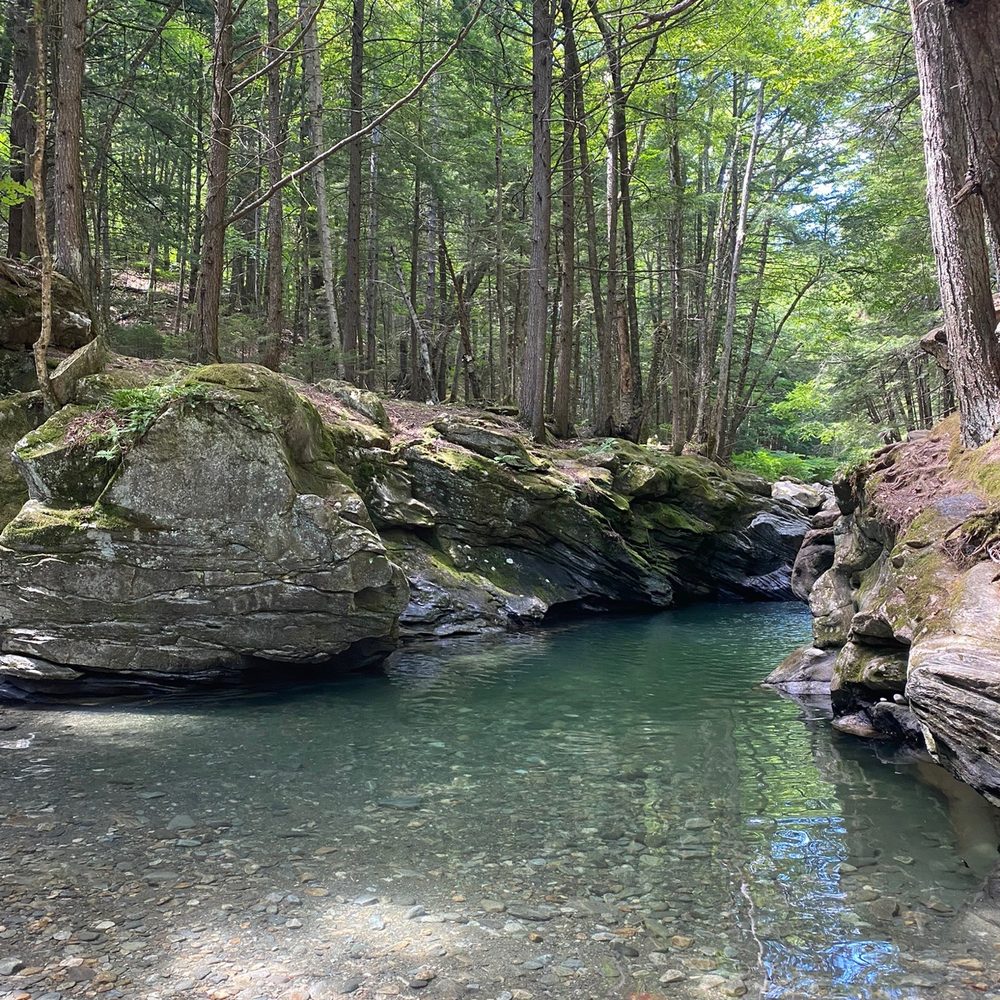 Top or Best Menu Design Agencies and Companies in Hartford, Vermont