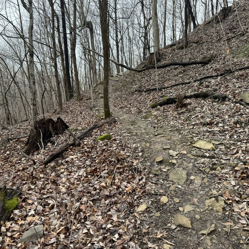 Top or Best Graphics for Streamers Agencies and Companies in Radcliff, Kentucky