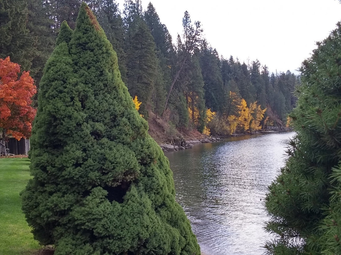 Top or Best Snapchat Management Agencies and Companies in Hayden, Idaho