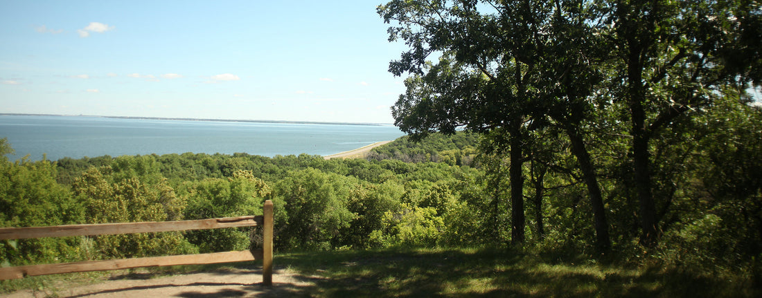 Top or Best TikTok Management Agencies and Companies in Devils Lake, North Dakota