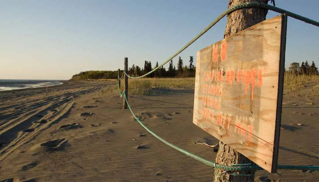 Top or Best Postcard Design Agencies and Companies in Kalifornsky, Alaska