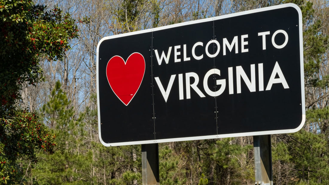 Best Flyer Design Agencies in Virginia