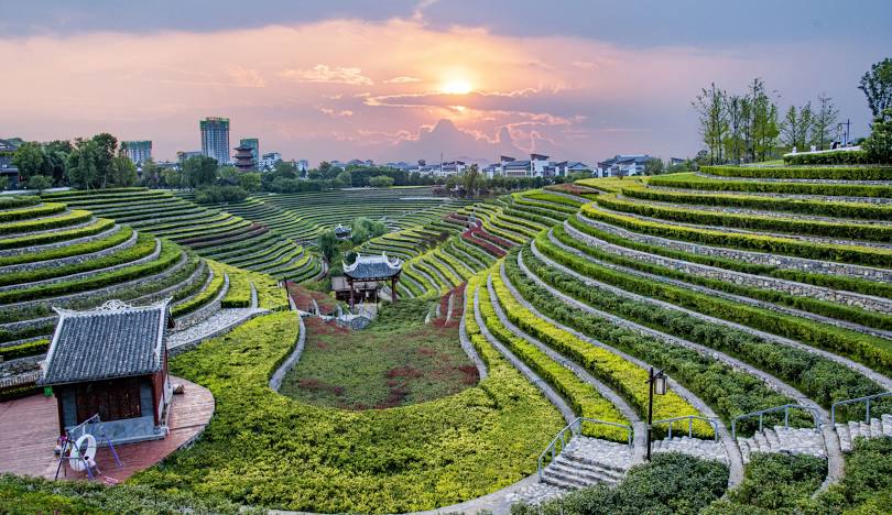 Top or Best Influencer Brand Collaboration Agencies and Companies in Bijie, China