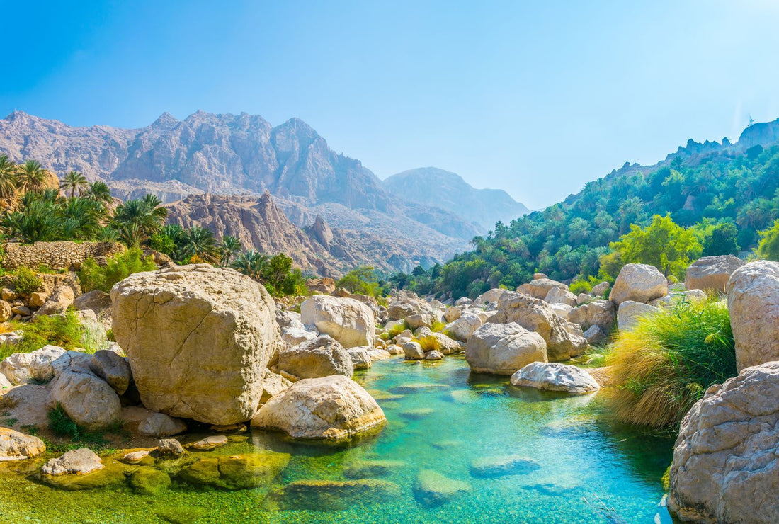 Best Instagram Management Companies in Oman