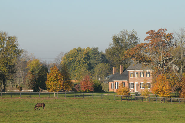 Top or Best Flyer Design Agencies and Companies in Georgetown, Kentucky