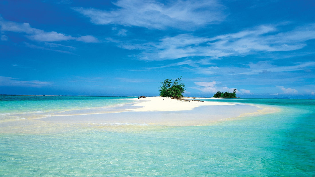 Top or Best Athlete Management Agencies and Companies in Solomon Islands