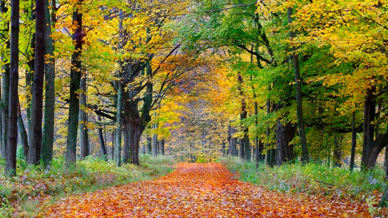 Top or Best Email Campaign Design Agencies and Companies in Fall River, Massachusetts