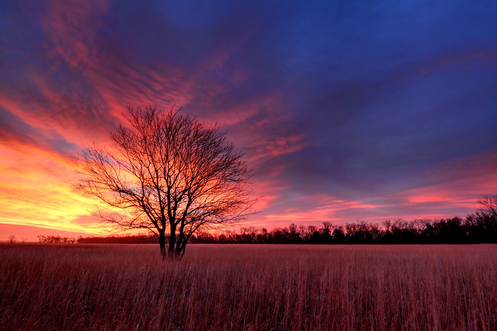 Top	Postcard Design Agencies in Nebraska 