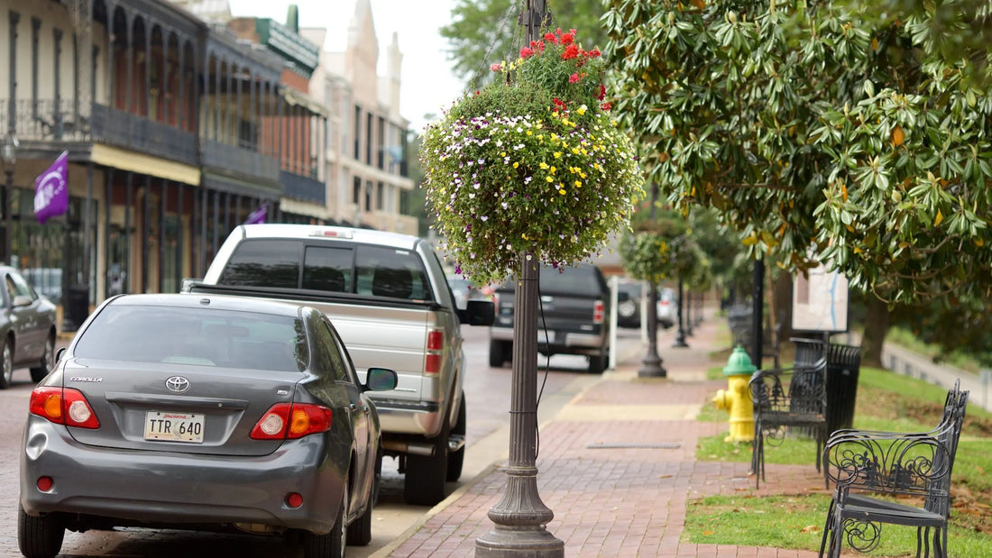 Top or Best Video Editing Agencies and Companies in Central, Louisiana