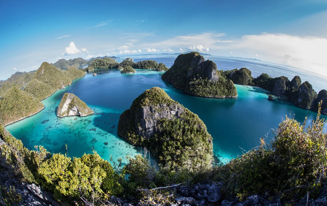 Top 5 Video Editing Design Agencies in Papua New Guinea