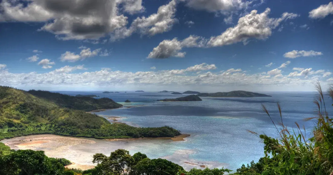Top 5 NFT Design Agencies in Fiji