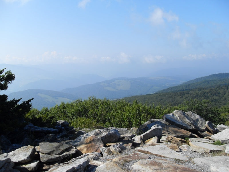 Top or Best Portrait & Caricature Design Agencies and Companies in Teays Valley, West Virginia