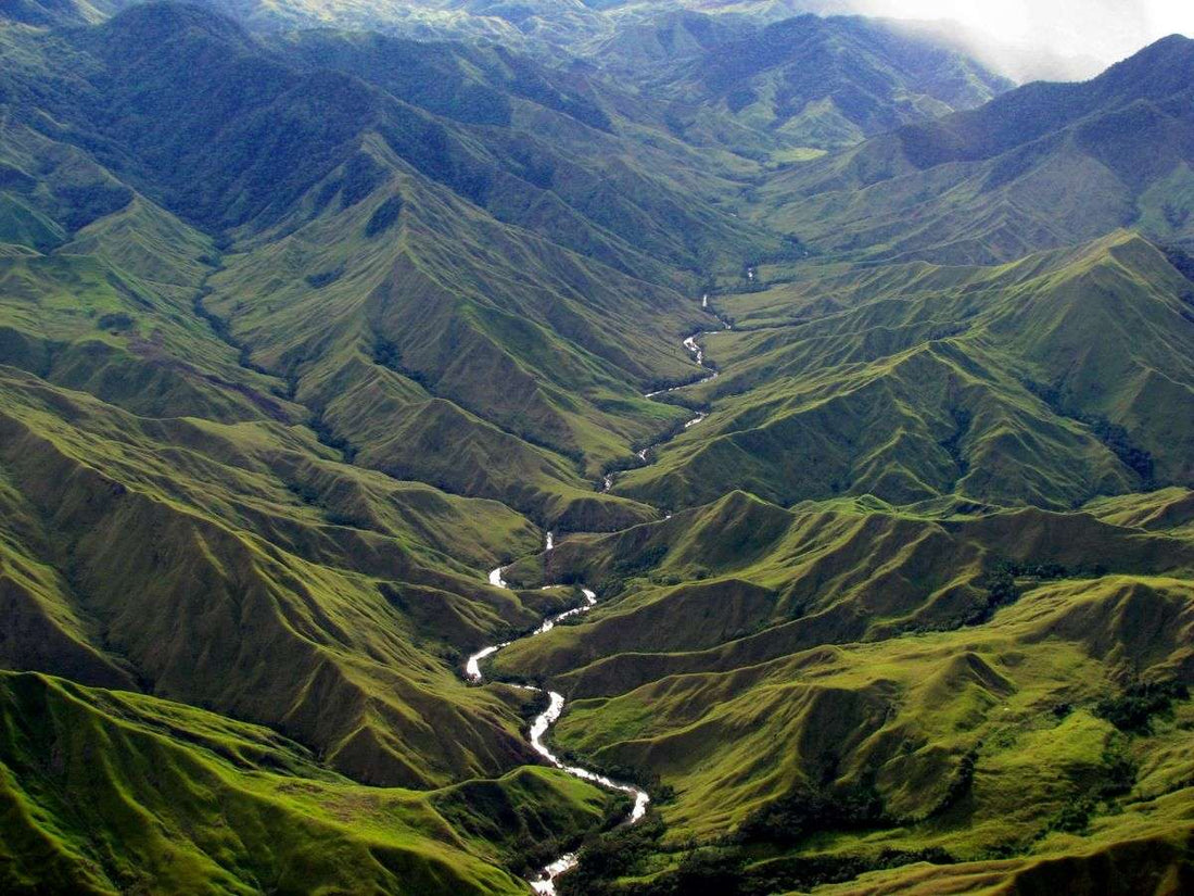 Top 5 Postcard Design Agencies in Papua New Guinea