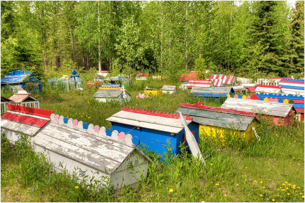 Top or Best Direct Mail Design Agencies and Companies in Tanaina, Alaska