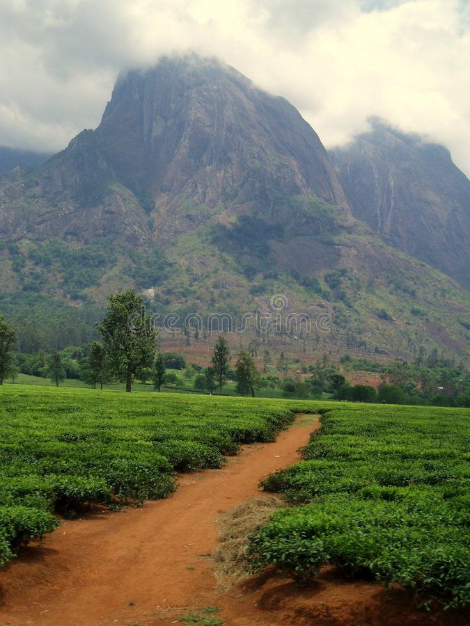 Top 5 Brochure Design Agencies in Malawi