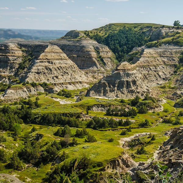 Top or Best LinkedIn Management Agencies and Companies in Watford City, North Dakota