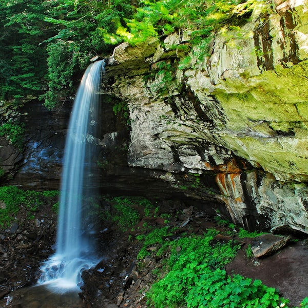 Top or Best Business Card Design Agencies and Companies in Oak Hill, West Virginia