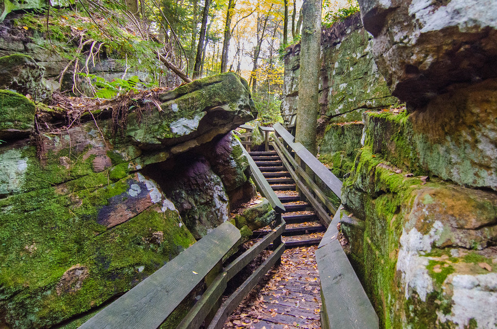 Top or Best Portraits and Caricatures Agencies and Companies in Oak Hill, West Virginia