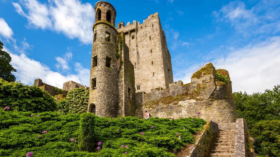 Top or Best Talent Management Agencies and Companies in Ireland