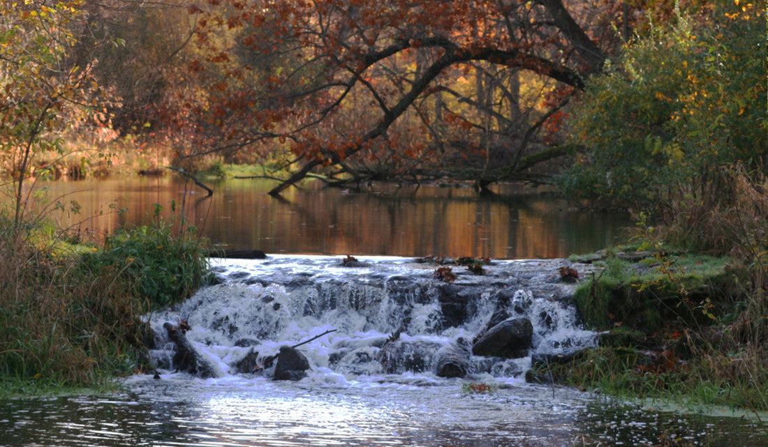 Top or Best Poster Design Agencies and Companies in Elkhart, Indiana