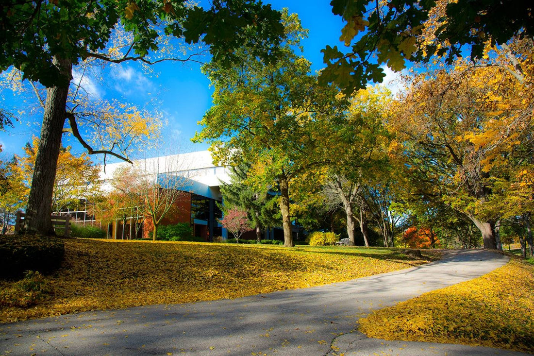 Top or Best Email Campaign Design Agencies and Companies in Anderson, Indiana