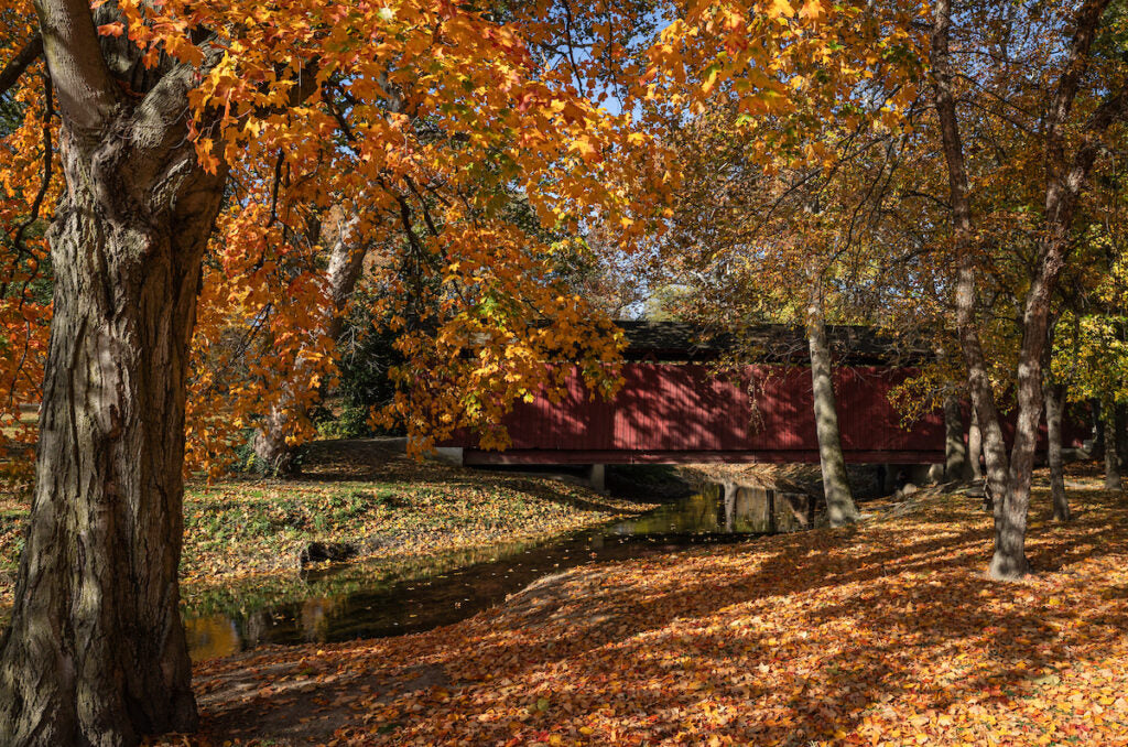 Top or Best YouTube Management Agencies and Companies in Kokomo, Indiana