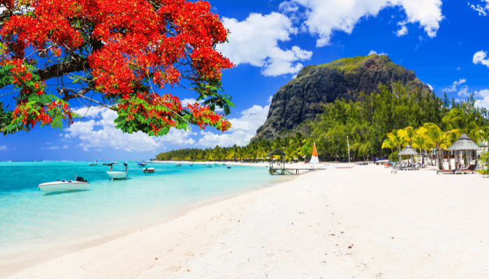 Top or Best Athlete Brand Partnership Agencies and Companies in Mauritius