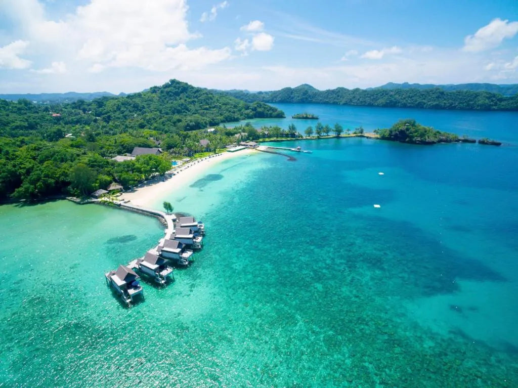 Top or Best Athlete Brand Partnership Agencies and Companies in Palau