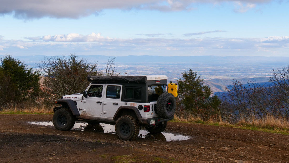 Top or Best Brand Identity Packages Agencies and Companies in Vienna, West Virginia