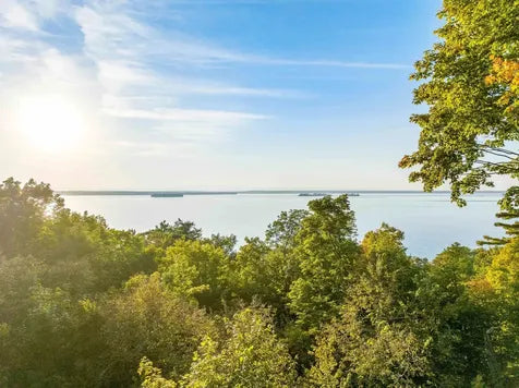 Top or Best Social Media Management Agencies and Companies in Milton, Vermont