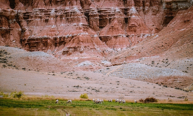 Top or Best Direct Mail Design Agencies and Companies in Riverton, Wyoming