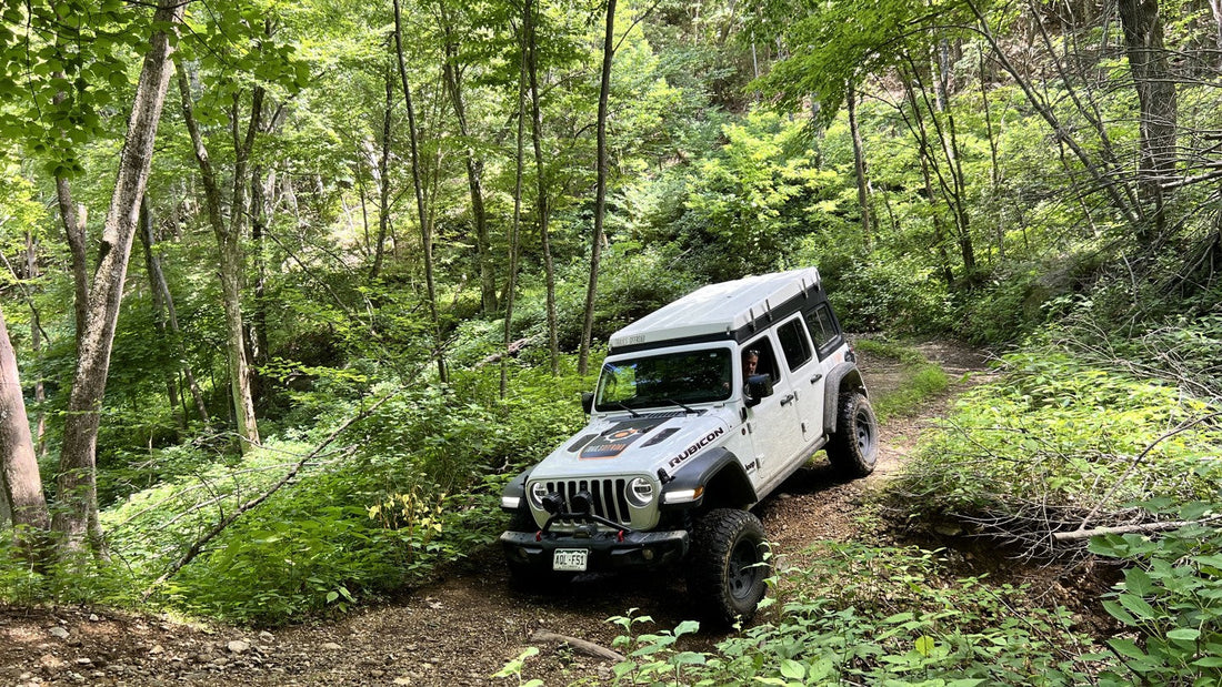 Top or Best Direct Mail Design Agencies and Companies in Vienna, West Virginia