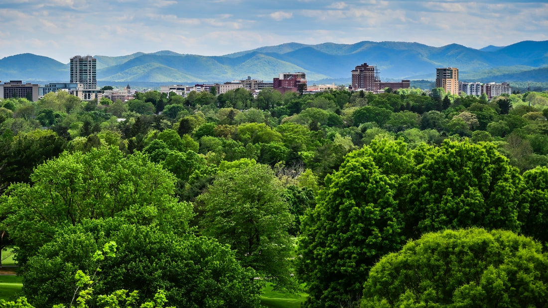 Top or Best Graphic Design Agencies and Companies in Martinsburg, West Virginia