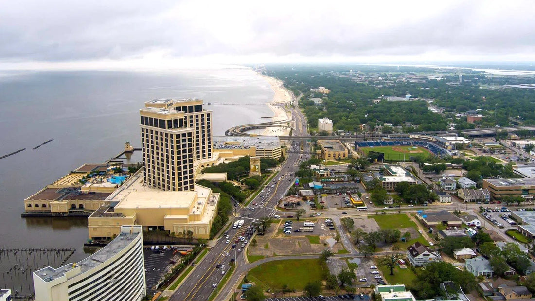 Top or Best Cartoons & Comics Agencies and Companies in Biloxi, Mississippi