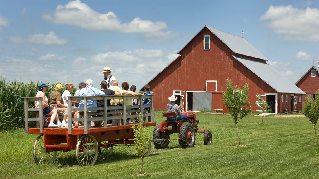 Top or Best Video Editing Agencies and Companies in York, Nebraska