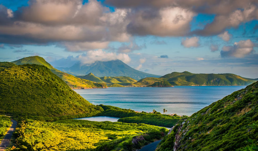 Top or Best Athlete Management Agencies and Companies in Saint Kitts and Nevis