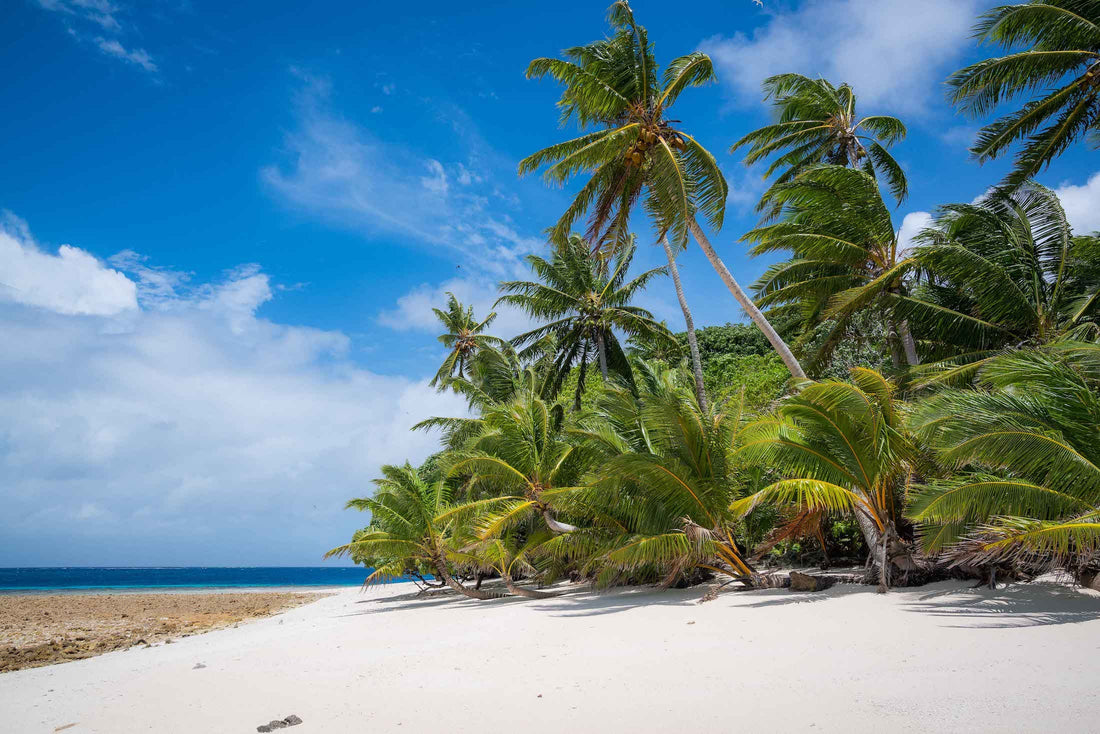 Top or Best Influencer Brand Partnership Agencies and Companies in Marshall Islands