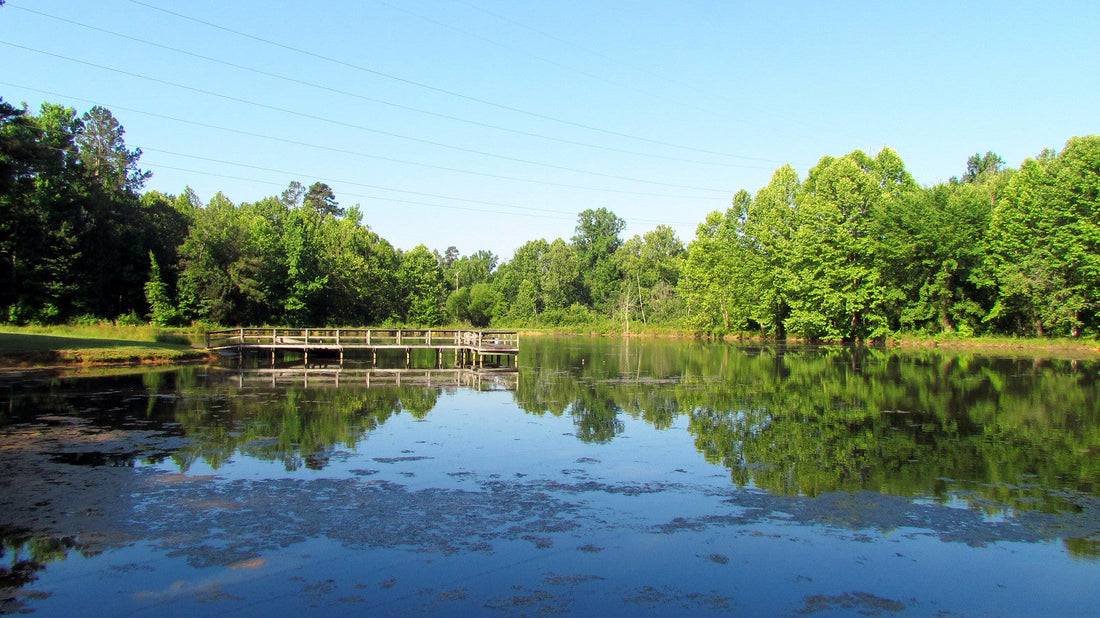 Top or Best Instagram Management Agencies and Companies in Chapel Hill, North Carolina