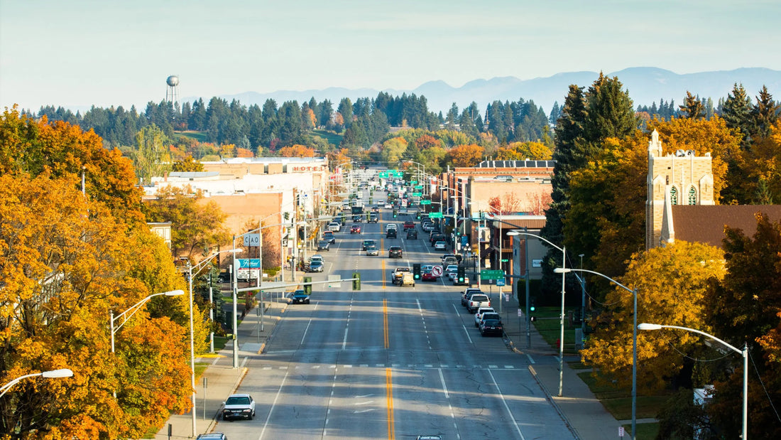 Top or Best Website Design Agencies and Companies in Kalispell, Montana