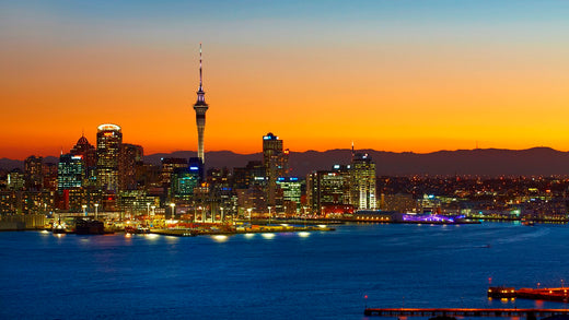 Top 5 NFT Art Agencies in New Zealand