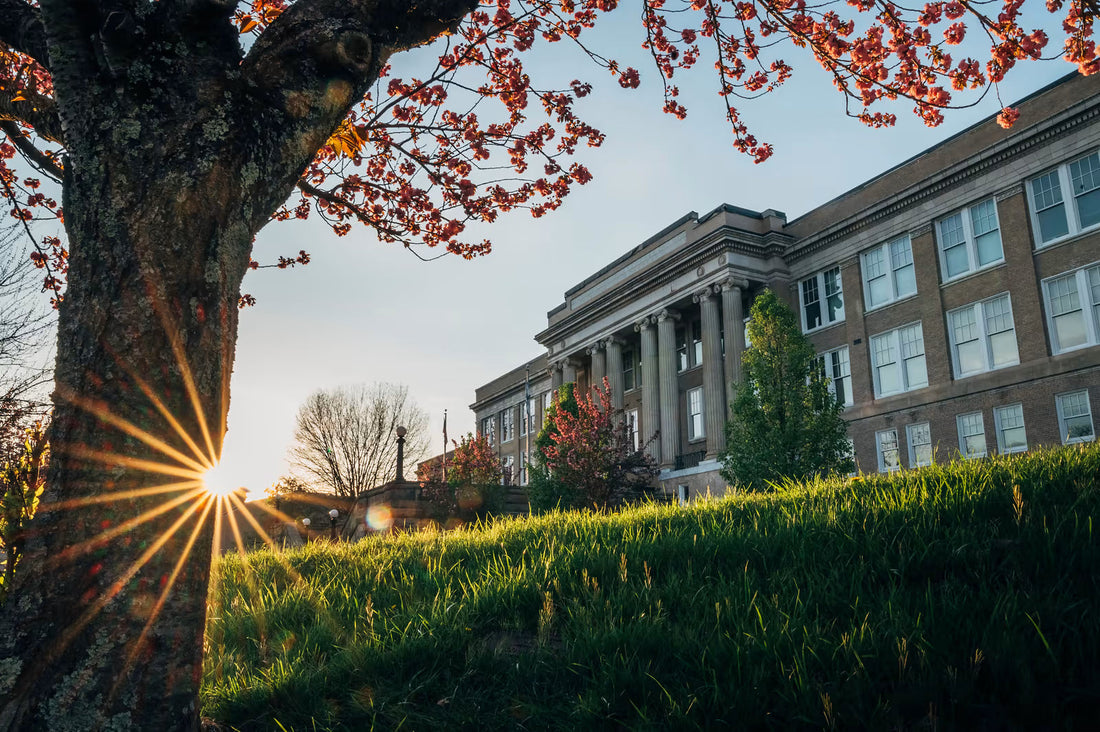 Top or Best Talent Management Agencies and Companies in Fairmont, West Virginia