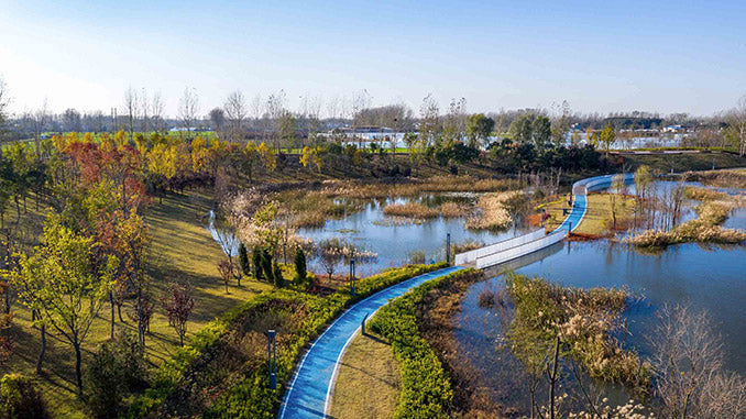 Top or Best Photo Editing Subscription Agencies and Companies in Zhoukou, China