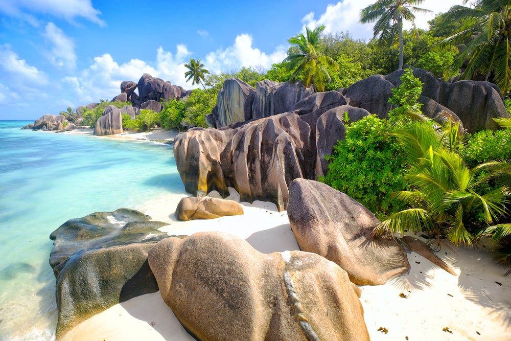 Best Facebook Management Companies in Seychelles
