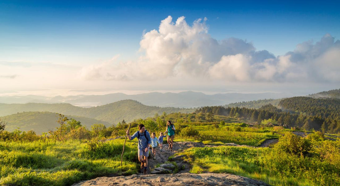 Top or Best X (Twitter) Management Agencies and Companies in Asheville, North Carolina