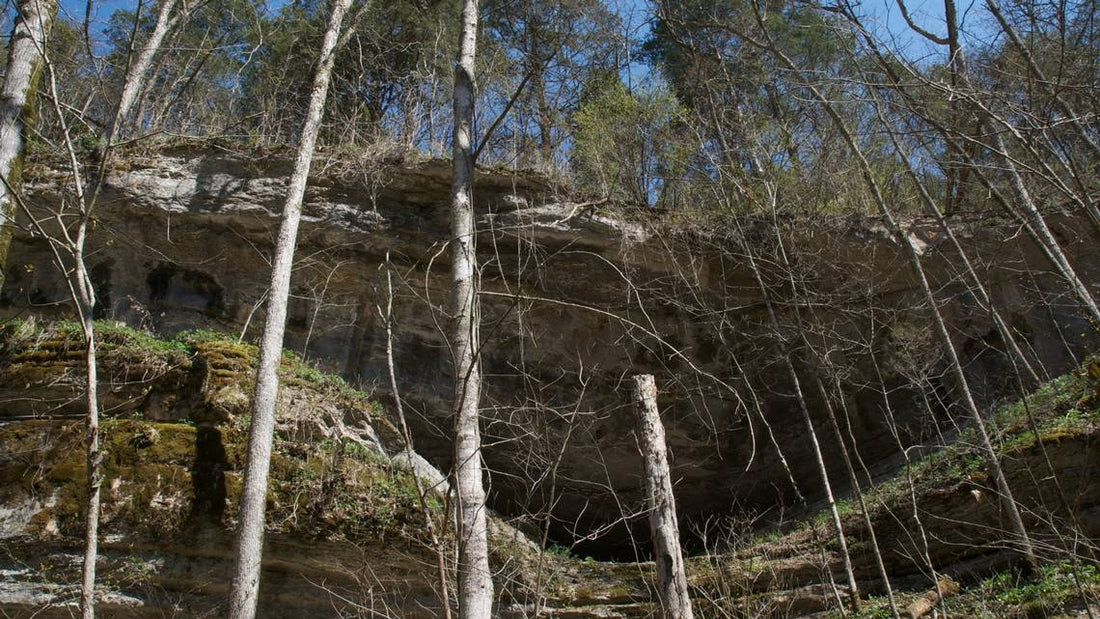 Top or Best Brochure Design Agencies and Companies in Nicholasville, Kentucky