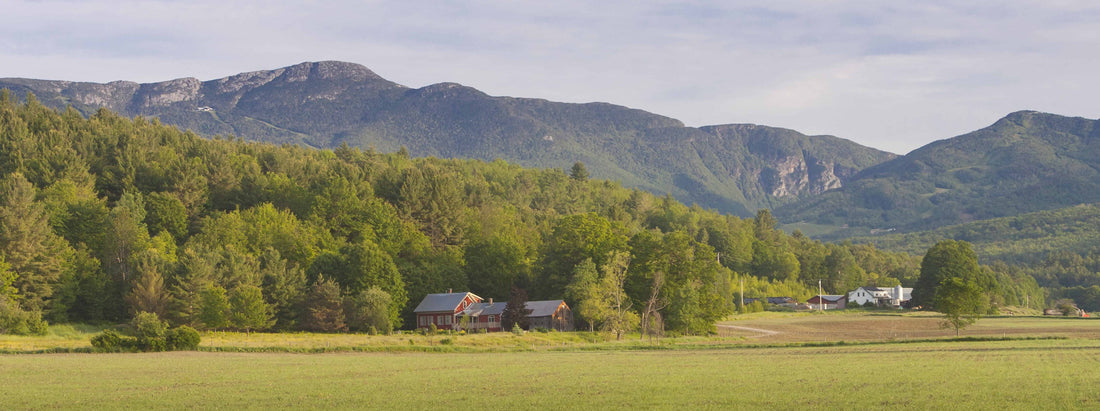 Top or Best Copywriting Agencies and Companies in Hartford, Vermont