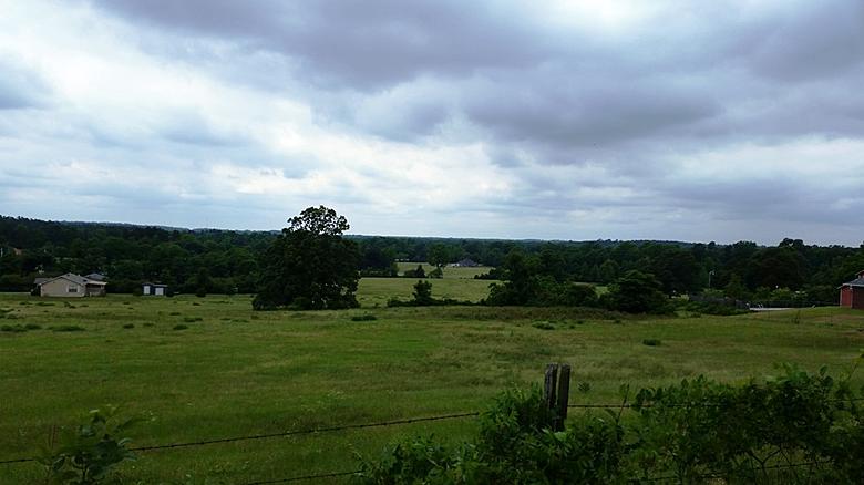 Top or Best Postcard Design Agencies and Companies in Texarkana, Arkansas